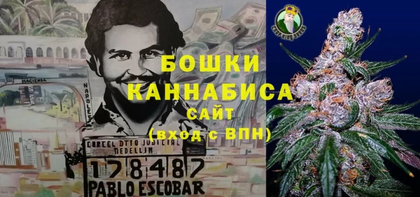 ПСИЛОЦИБИНОВЫЕ ГРИБЫ Богородицк