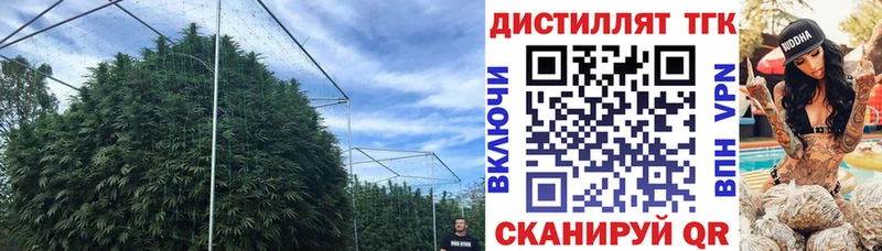 сайты даркнета клад  Киреевск  ТГК THC oil 
